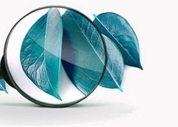 Dự án Giao lộ xanh