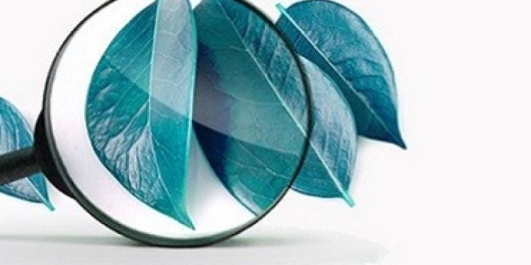 Dự án Giao lộ xanh