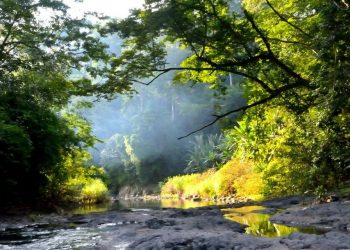 BÌNH PHƯỚC CÓ GÌ ĐỂ ĐI?