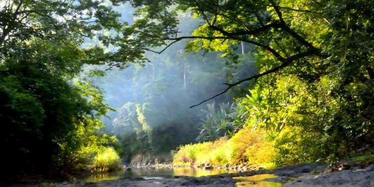 BÌNH PHƯỚC CÓ GÌ ĐỂ ĐI?