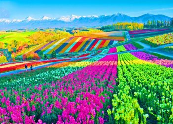 DU LỊCH THÁI LAN: BANGKOK – KHAOYAI – NAKHON NAYOK