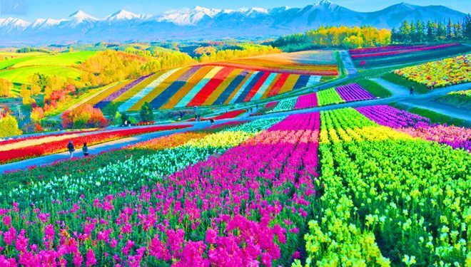 DU LỊCH THÁI LAN: BANGKOK – KHAOYAI – NAKHON NAYOK