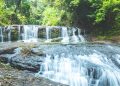 DU LỊCH TÌNH NGUYỆN 2 NGÀY 1 ĐÊM TẠI NÚI SUỐI RỪNG BÌNH PHƯỚC