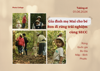 TOUR DU LỊCH DƯỠNG SINH ĂN RỪNG TẮM SUỐI NGỦ CÙNG THIÊN NHIÊN DÀNH CHO GIA ĐÌNH
