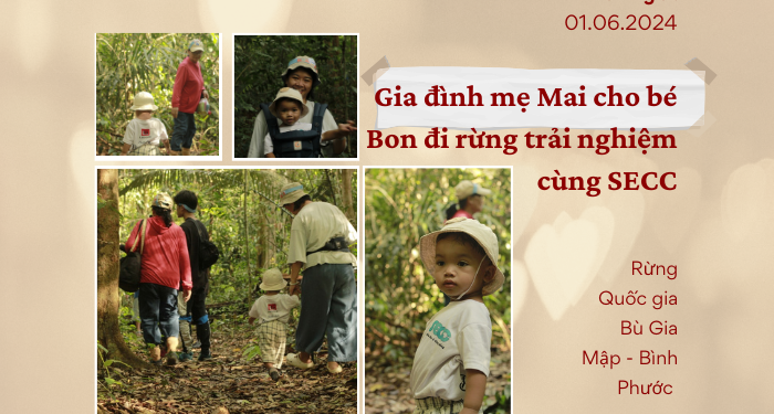 TOUR DU LỊCH DƯỠNG SINH ĂN RỪNG TẮM SUỐI NGỦ CÙNG THIÊN NHIÊN DÀNH CHO GIA ĐÌNH