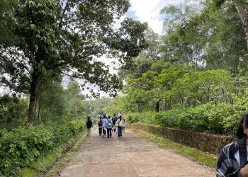 TOUR DU LỊCH DƯỠNG SINH ĂN RỪNG TẮM SUỐI NGỦ CÙNG THIÊN NHIÊN DÀNH CHO GIA ĐÌNH