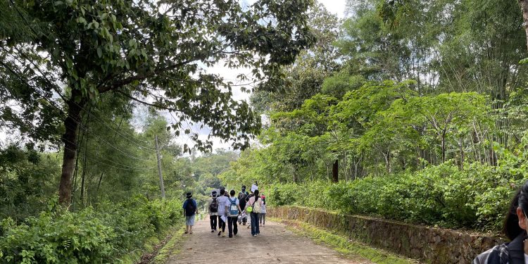 TOUR DU LỊCH DƯỠNG SINH ĂN RỪNG TẮM SUỐI NGỦ CÙNG THIÊN NHIÊN DÀNH CHO GIA ĐÌNH