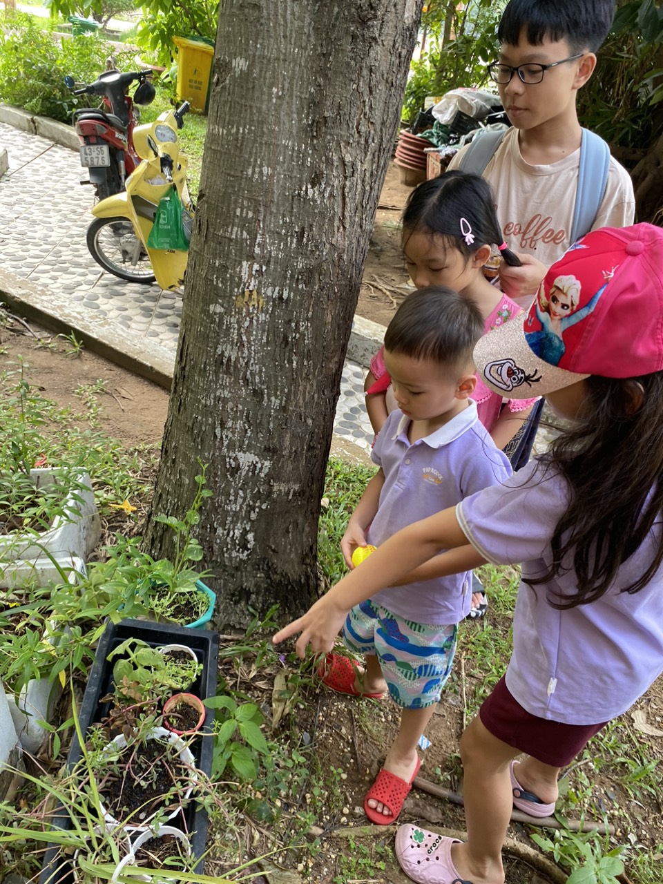 Các bạn có một góc riêng để thăm cây, chăm cây đợi ngày kết thúc sẽ đem về nhà!